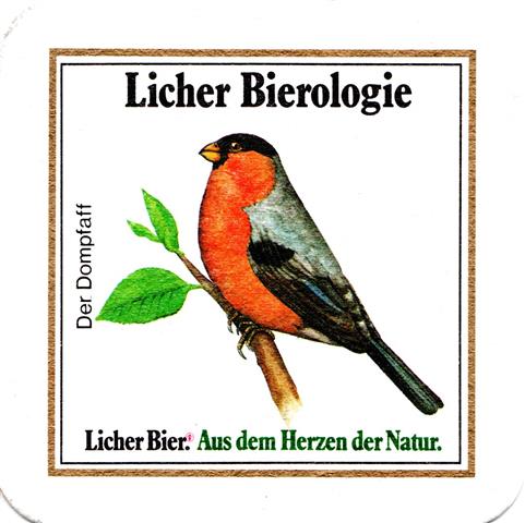 lich gi-he licher biero vgel rd 3b (quad185-der kuckuck)